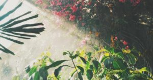 Cover image for النفي من جنة هيكل الله