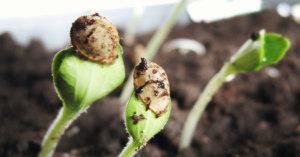 Cover image for لماذا ينبغي علينا أنْ نؤمنَ بالقيامة؟