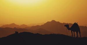 Cover image for اعتقاد خاطئ شائع عن المعاناة