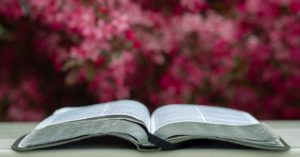 Cover image for لِمَاذا يَنبغِي أنْ نضعَ ثقتَنا في الكتابِ المقدسِ؟